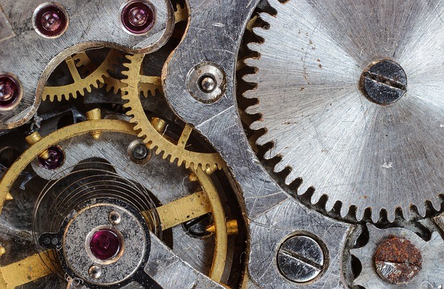 Cogwheels health insurance
