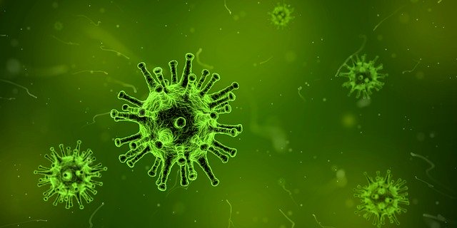 Virus Cells